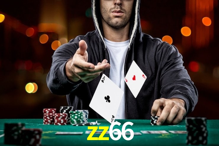 zz66.com
